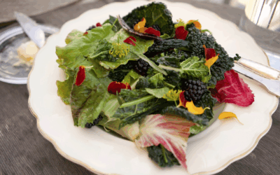 スクリーンショット 2019-01-16 13.55.36 スクリーンショット 2019-01-16 13.55.36